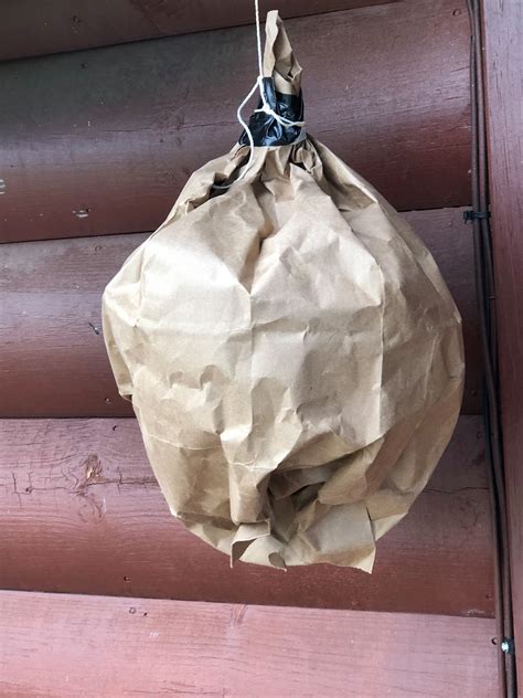 paper bag for carpenter bees